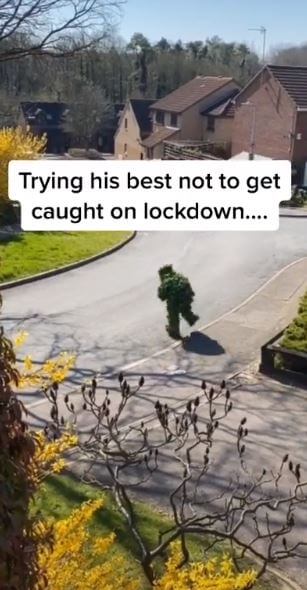 Maddie Davies's TikTok video where a man dressed as a bush.